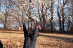 resIMG_20181123_150756_0505.JPG